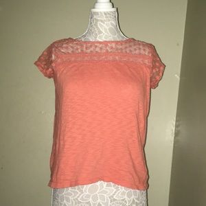 Partially sheer shirt